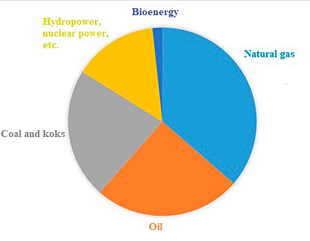 Energiforbruket i Romania domineres av kull, olje, gass, vannkraft og atomkraft. Bioenergiandelen er under 2 %. 